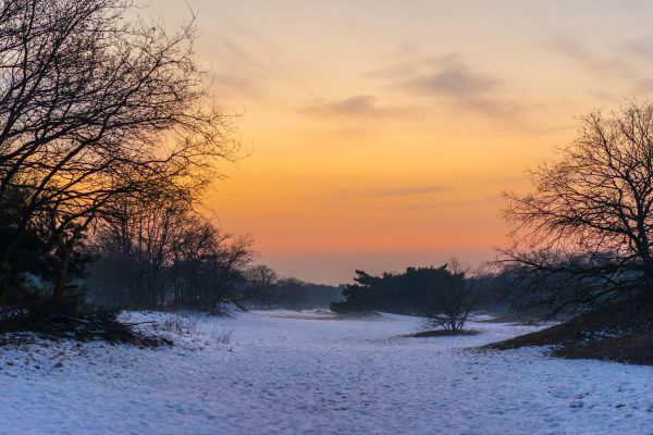 Hooge-Heide—Nuland
